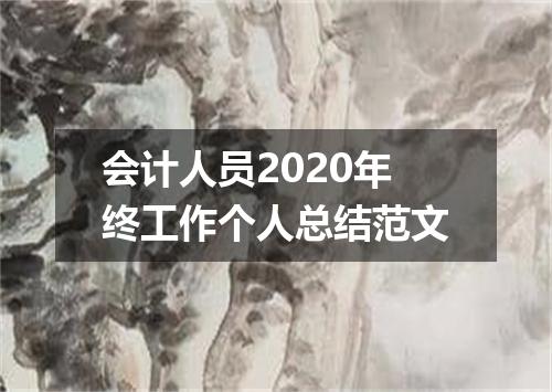 会计人员2020年终工作个人总结范文