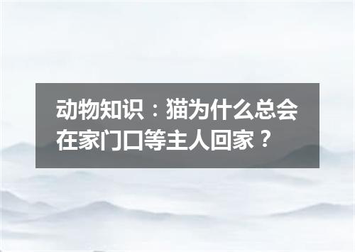 动物知识：猫为什么总会在家门口等主人回家？