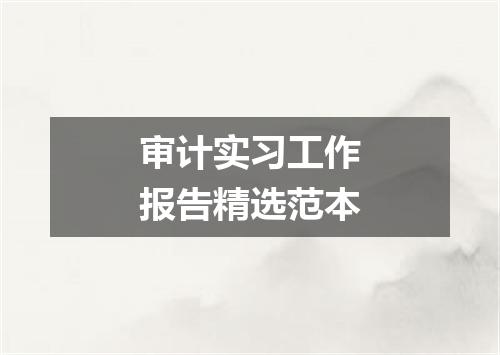 审计实习工作报告精选范本