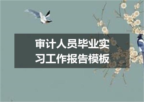 审计人员毕业实习工作报告模板