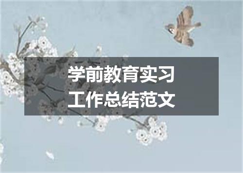学前教育实习工作总结范文