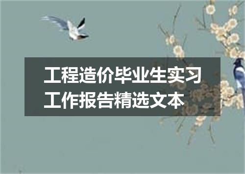 工程造价毕业生实习工作报告精选文本