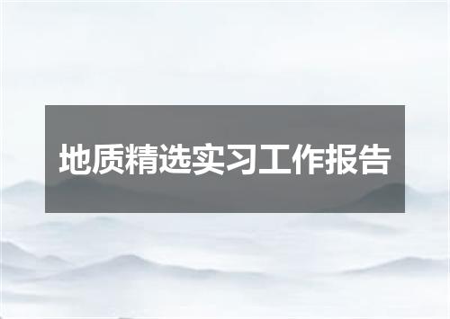 地质精选实习工作报告