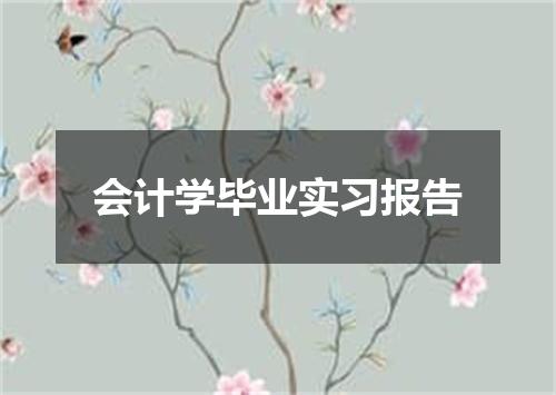 会计学毕业实习报告