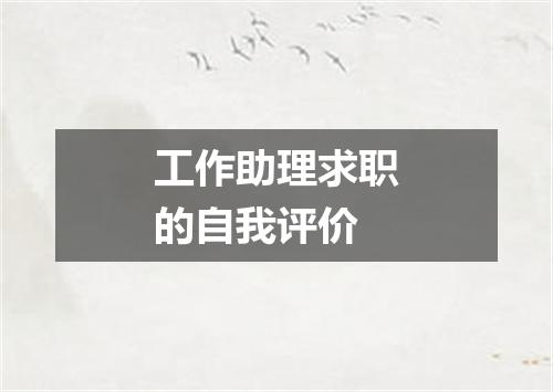 工作助理求职的自我评价