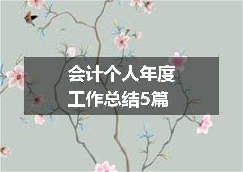 会计个人年度工作总结5篇