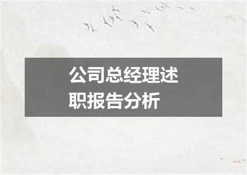 公司总经理述职报告分析