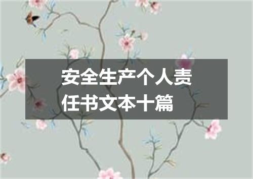 安全生产个人责任书文本十篇
