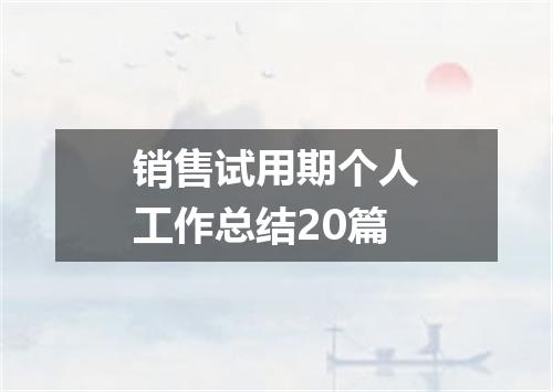 销售试用期个人工作总结20篇