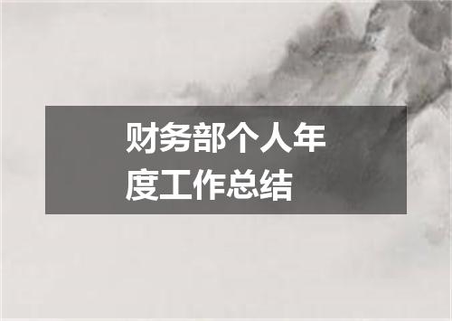 财务部个人年度工作总结