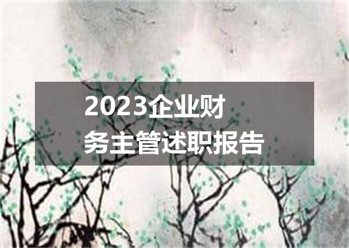 2023企业财务主管述职报告