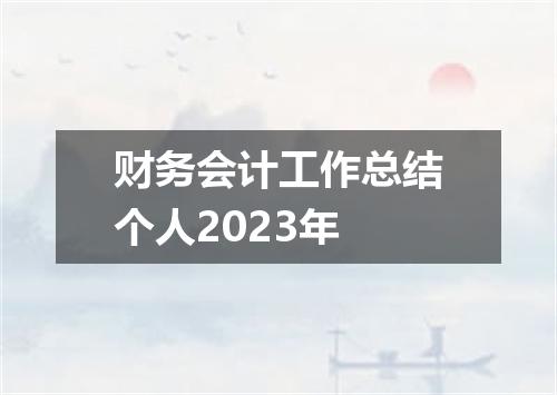财务会计工作总结个人2023年