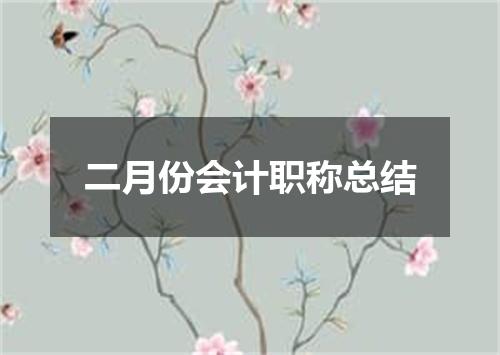 二月份会计职称总结