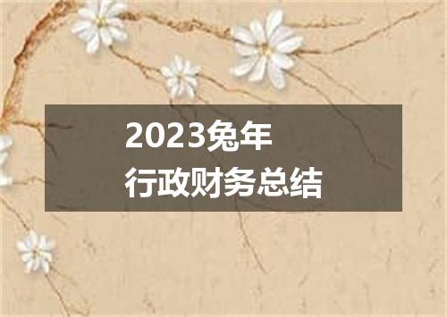 2023兔年行政财务总结