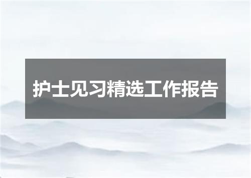 护士见习精选工作报告