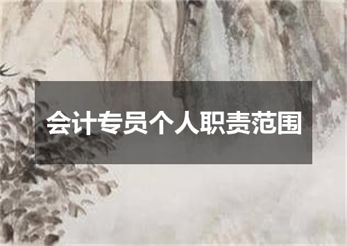 会计专员个人职责范围
