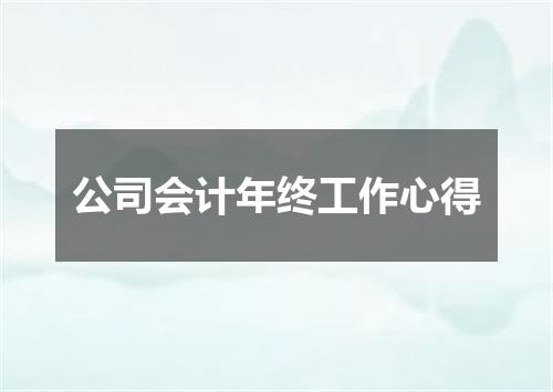 公司会计年终工作心得
