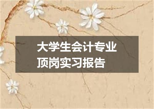 大学生会计专业顶岗实习报告