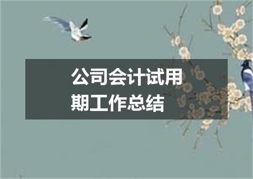 公司会计试用期工作总结