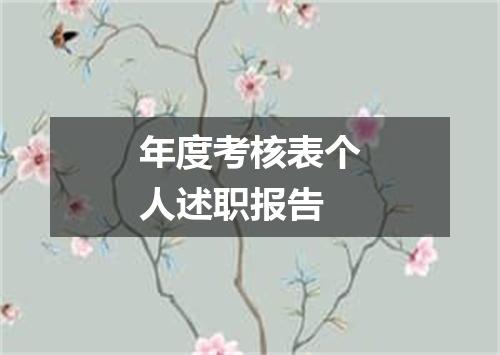 年度考核表个人述职报告