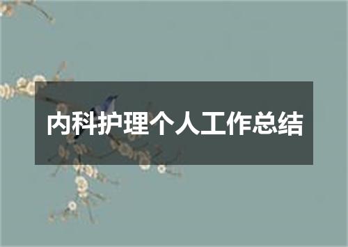内科护理个人工作总结