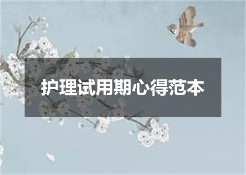 护理试用期心得范本