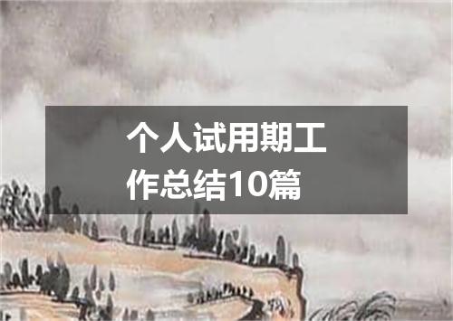 个人试用期工作总结10篇