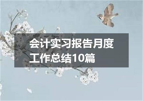 会计实习报告月度工作总结10篇
