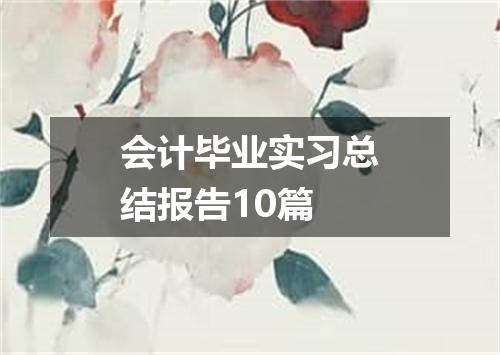 会计毕业实习总结报告10篇