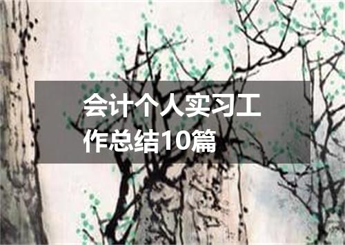 会计个人实习工作总结10篇