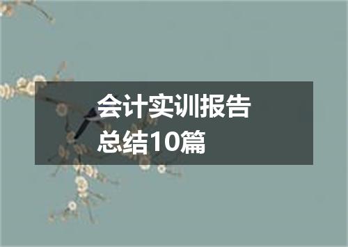 会计实训报告总结10篇