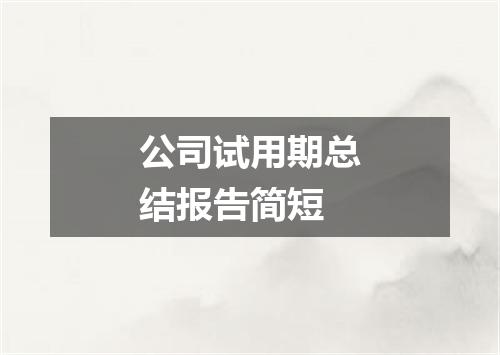 公司试用期总结报告简短