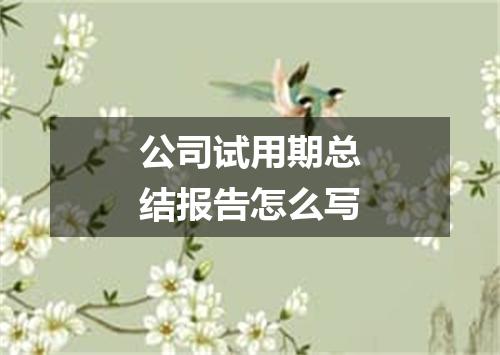 公司试用期总结报告怎么写