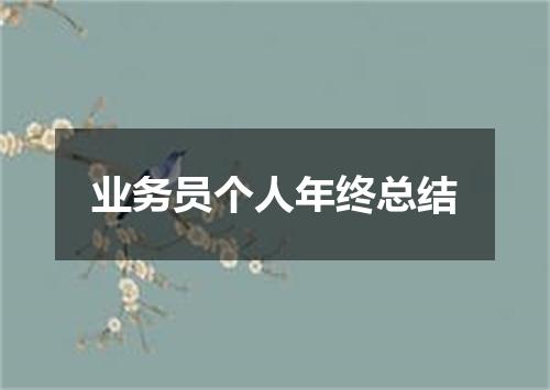 业务员个人年终总结