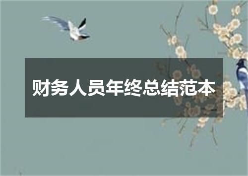 财务人员年终总结范本