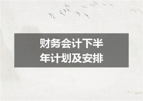 财务会计下半年计划及安排