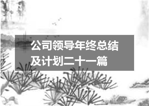 公司领导年终总结及计划二十一篇