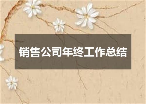 销售公司年终工作总结