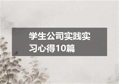学生公司实践实习心得10篇