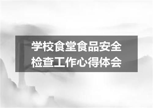 学校食堂食品安全检查工作心得体会
