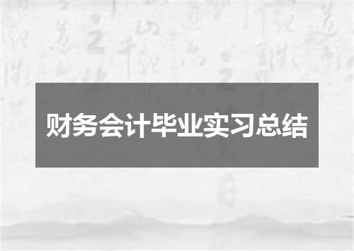 财务会计毕业实习总结