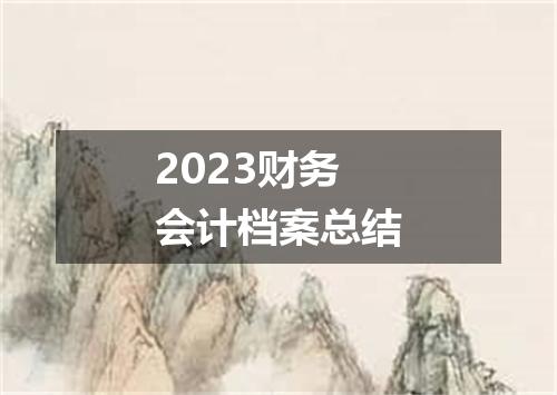 2023财务会计档案总结