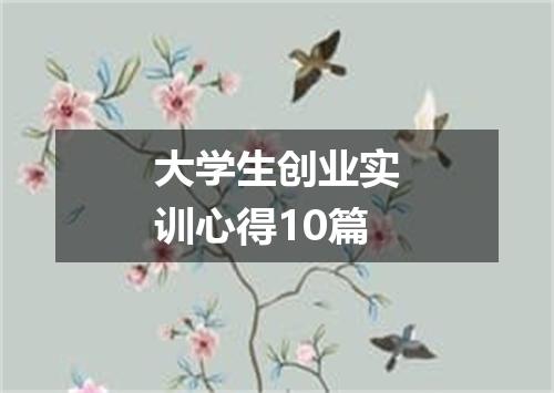 大学生创业实训心得10篇