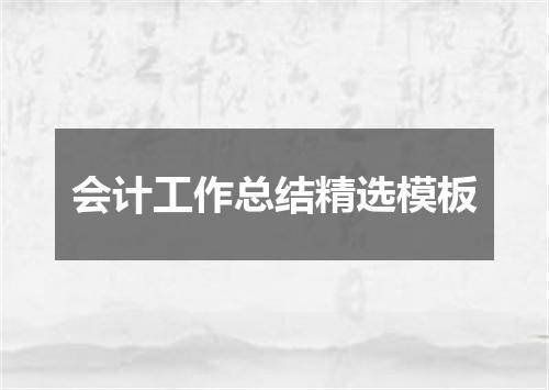 会计工作总结精选模板