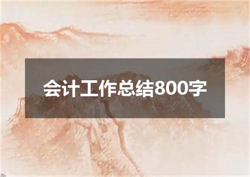 会计工作总结800字