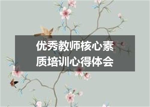 优秀教师核心素质培训心得体会