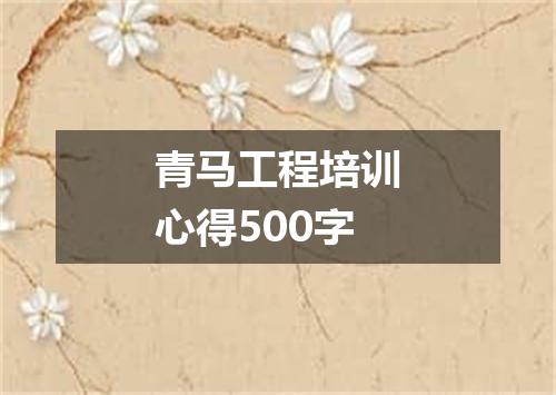 青马工程培训心得500字