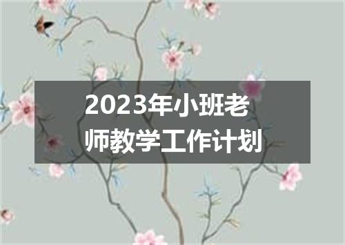 2023年小班老师教学工作计划