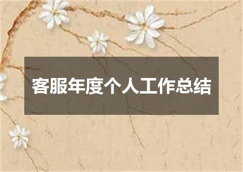 客服年度个人工作总结