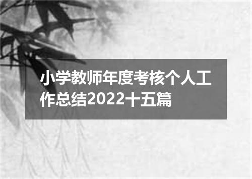 小学教师年度考核个人工作总结2022十五篇